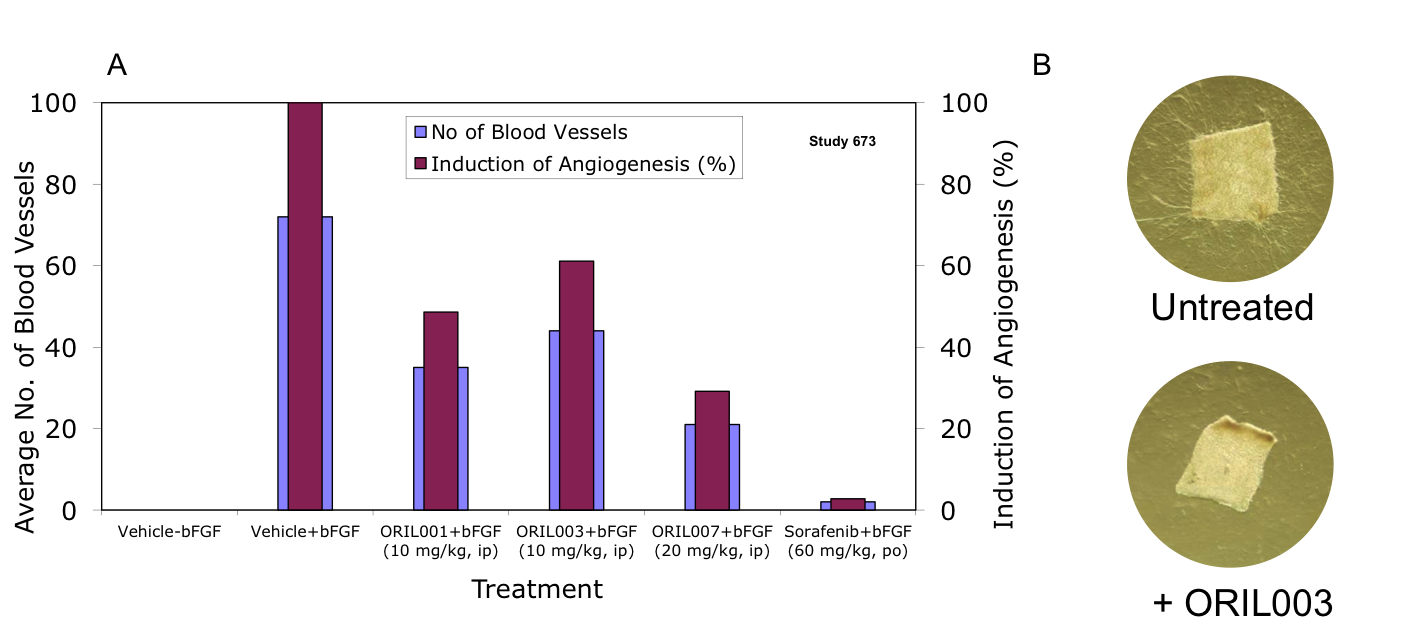 angiogenesis